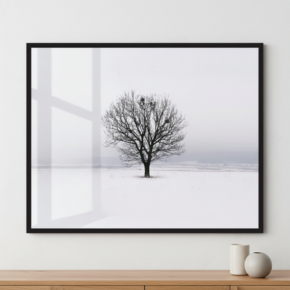 Lonely tree in the field ภาพติดผังสไตล์วิวธรรมชาติ สำหรับตกแต่งบ้านและคอนโด พร้อมกรอบคุณภาพ