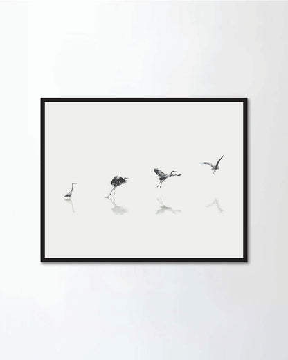 flight steps progress of a migratory bird