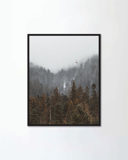 Panorama Forested mountain