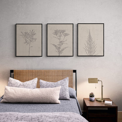 Botanical Calm Trio (2 ภาพ) ภาพติดผังสไตล์นามธรรม สำหรับตกแต่งบ้านและคอนโด พร้อมกรอบคุณภาพ
