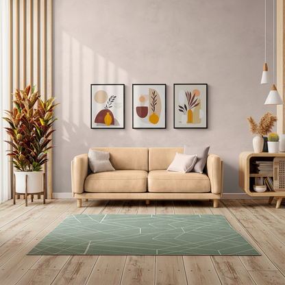 Warm Botanical Forms (3 ภาพ)