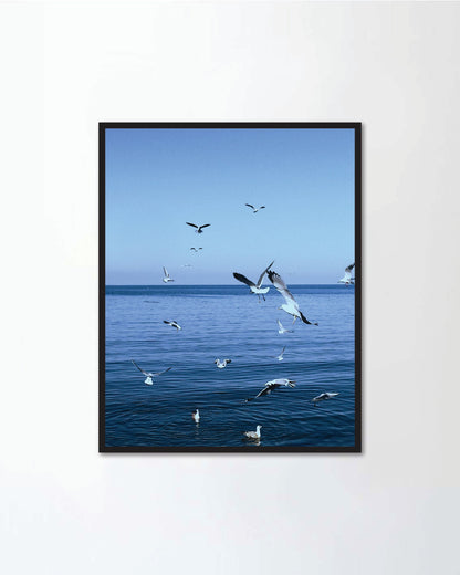 Seagulls flying over the sea
