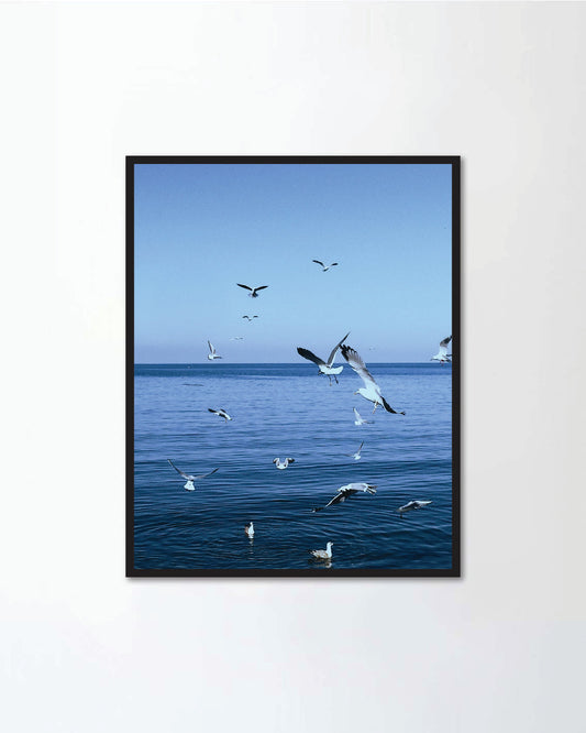 Seagulls flying over the sea