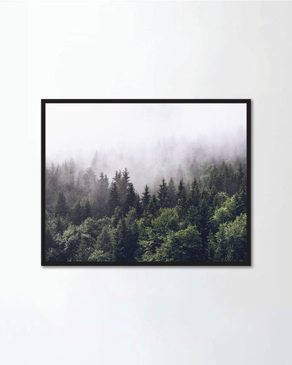 Forested mountain slope