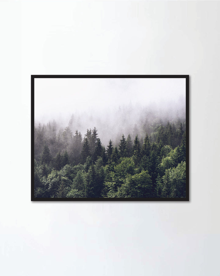 Forested mountain slope