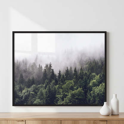 Forested mountain slope