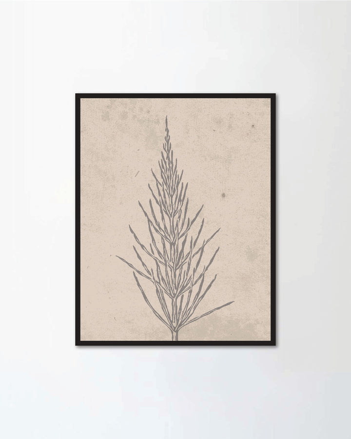 Set of botanical posters