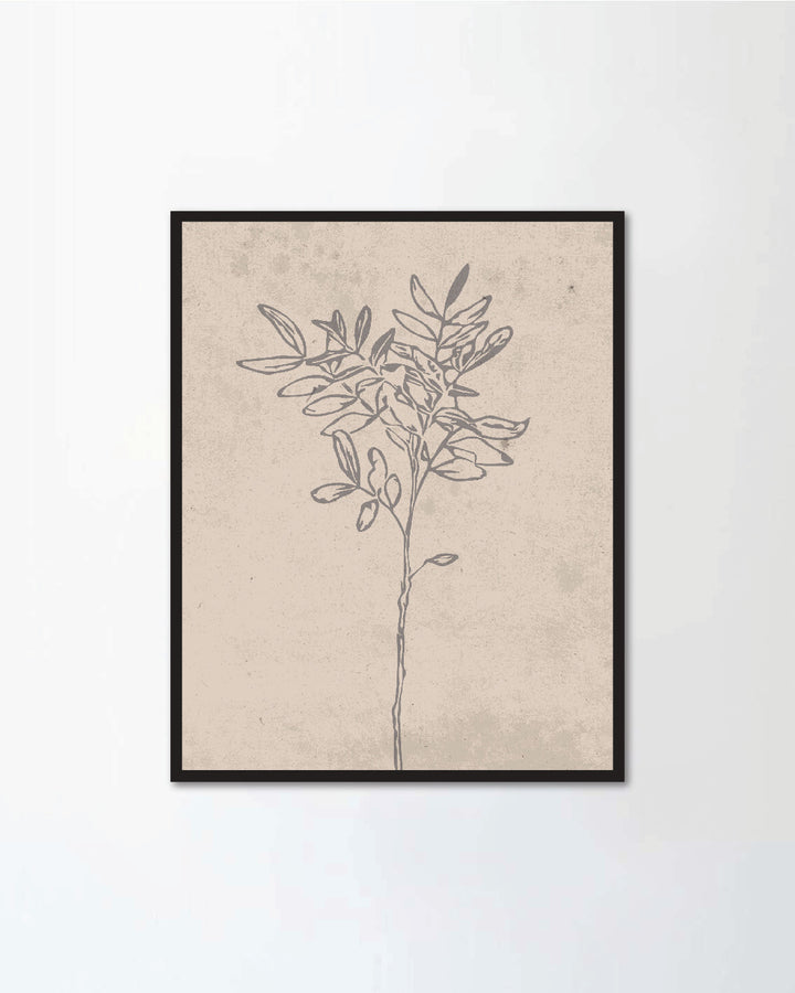 Set of botanical posters