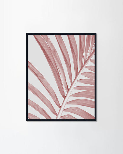 Pink palm