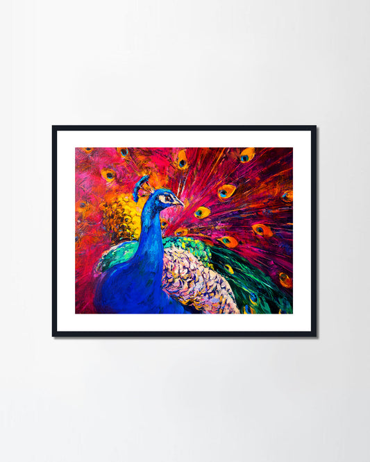 Beautiful Peacock