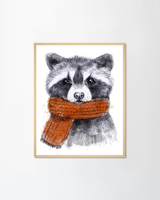 Cute raccoon