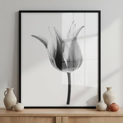 Tulips ภาพติดผังสไตล์ธรรมชาติ สำหรับตกแต่งบ้านและคอนโด พร้อมกรอบคุณภาพ