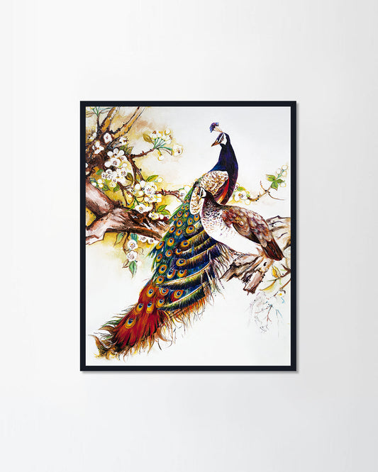 Peacocks