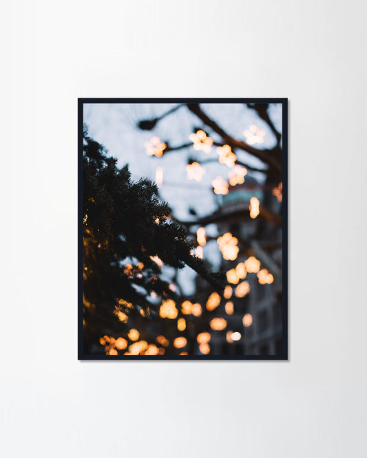 Christmas lights