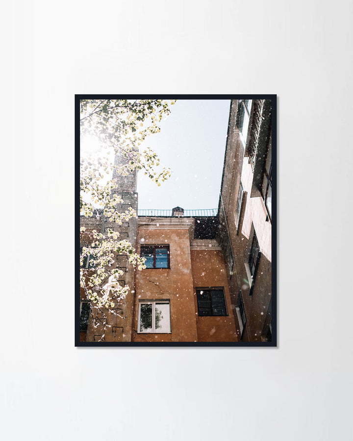 Poplar fluff floating in the air