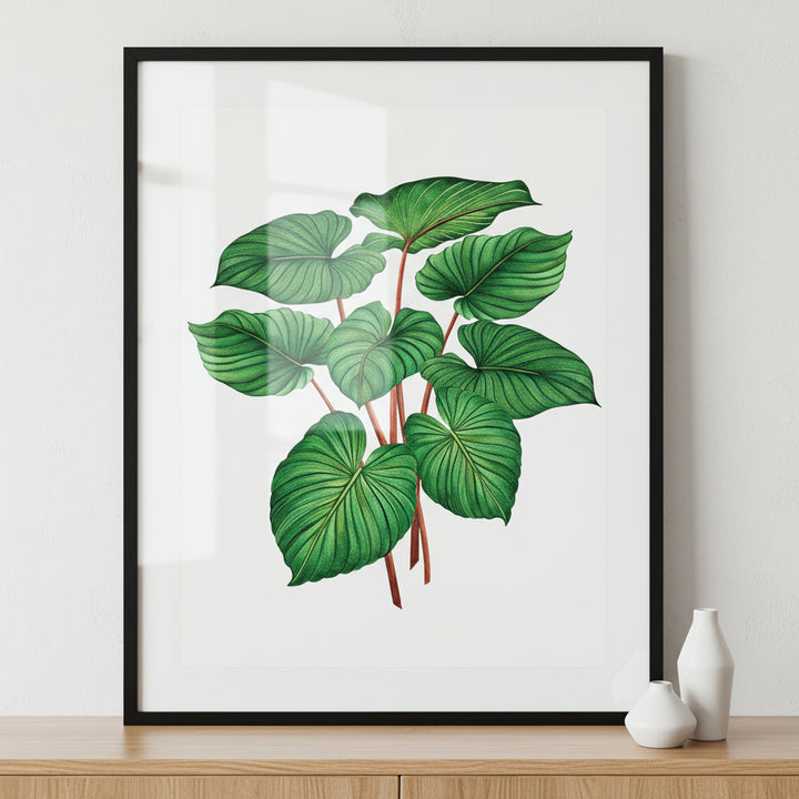 Aloha exotic leaf ภาพติดผังสไตล์ธรรมชาติ สำหรับตกแต่งบ้านและคอนโด พร้อมกรอบคุณภาพ