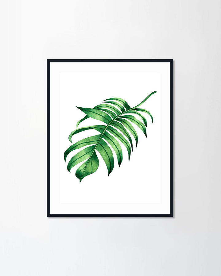 Fern green leaves
