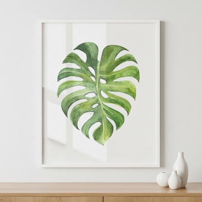 Monstera leaf