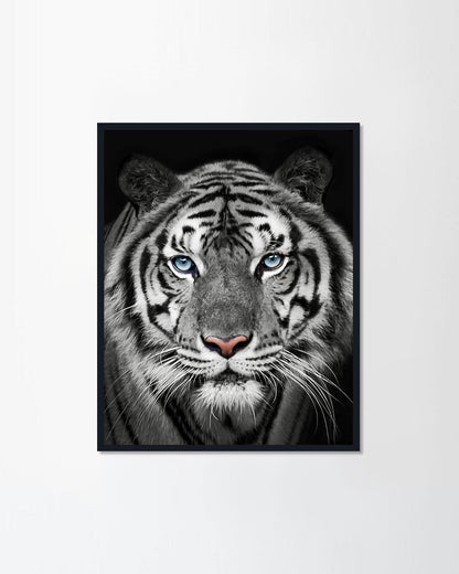 White tiger