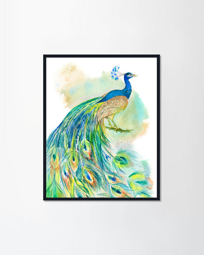 Beautiful Peacock