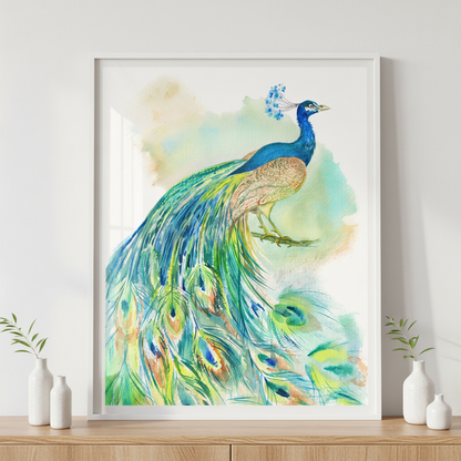 Beautiful Peacock