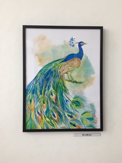 Beautiful Peacock