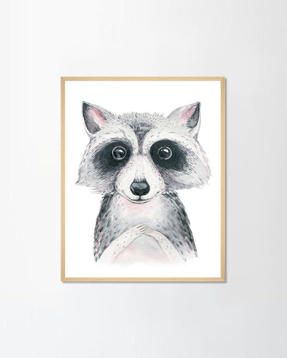 Cute baby raccoon