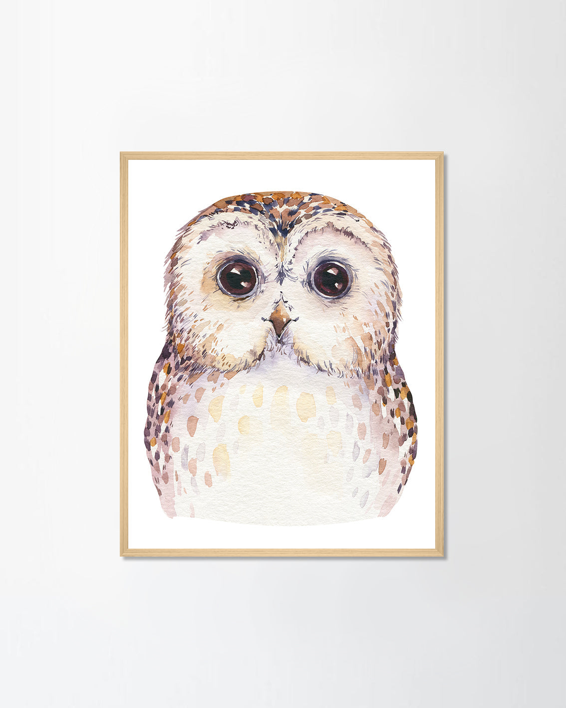 Cute baby owl (Canvas)