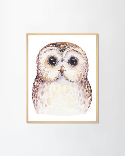 Cute baby owl (Canvas)