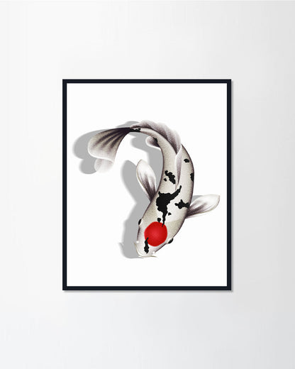 Japanese carp II