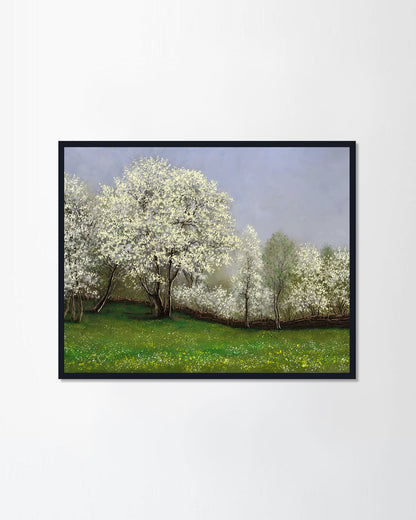 Spring I