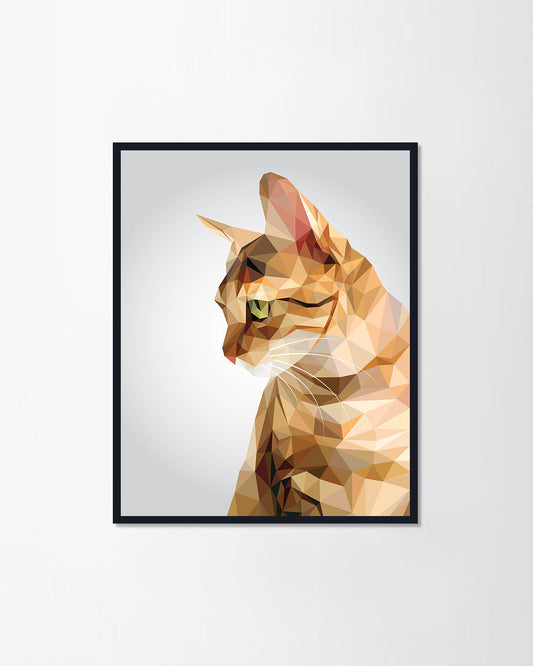 Tabby brown cat