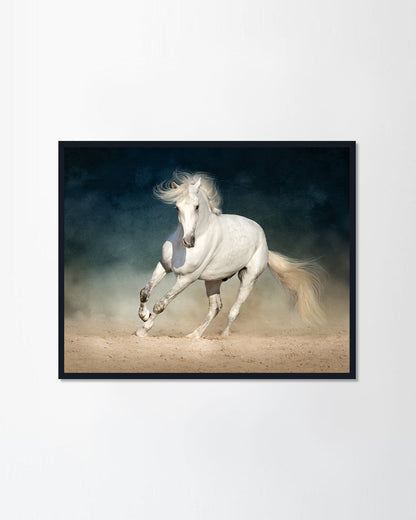 White Horse