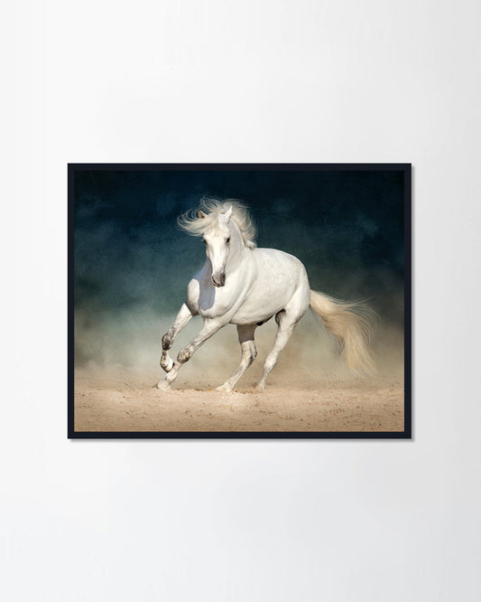 White Horse
