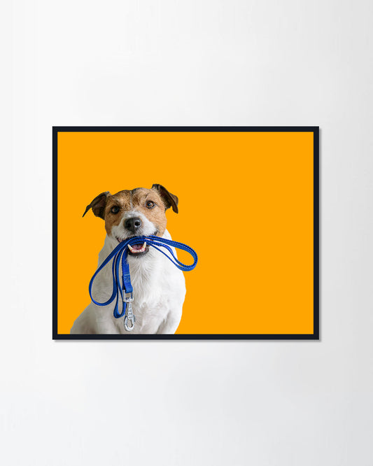 Happy active dog II