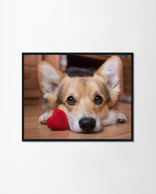 A dog with a red heart