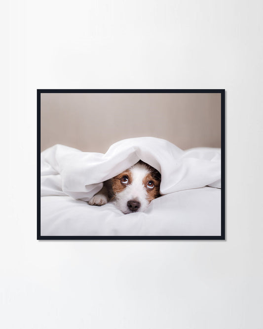 Lying in bed