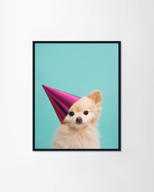 Puppy with pink hat