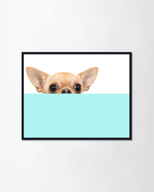 chihuahua dog peeking over the edge