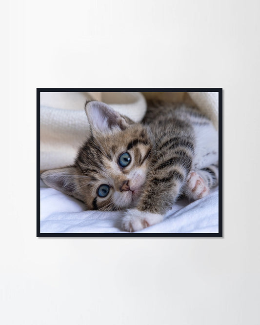 Adorable little pets