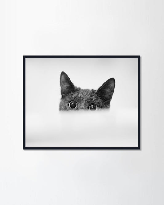 Curiously peeking out