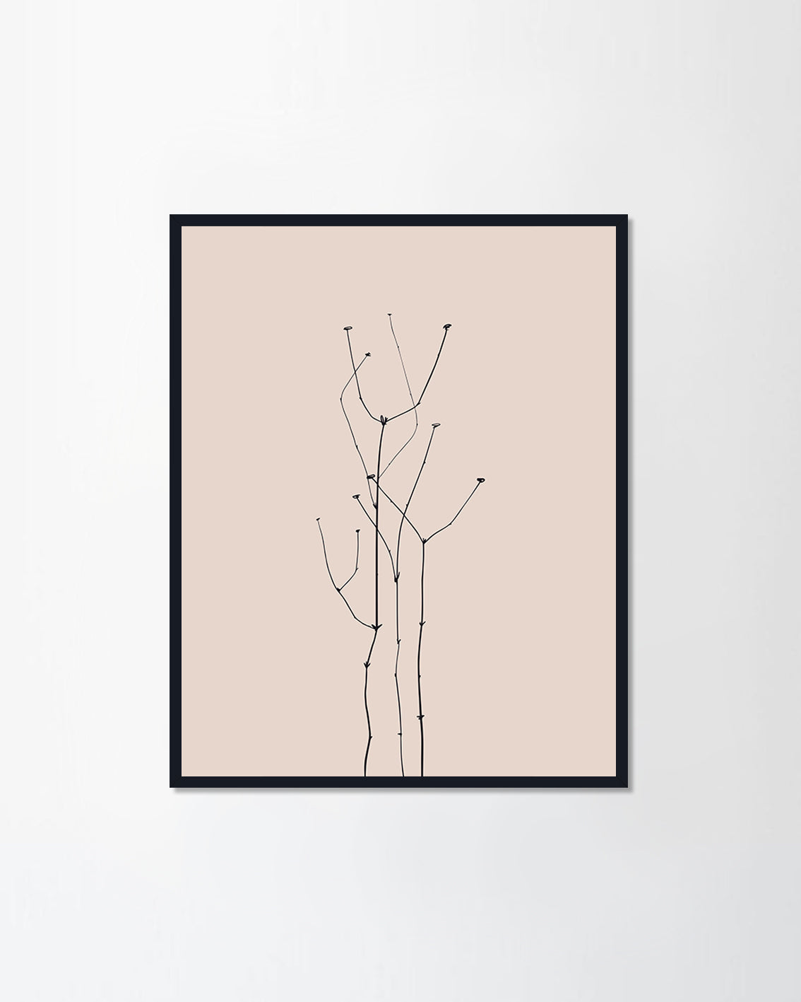 Dried flowers