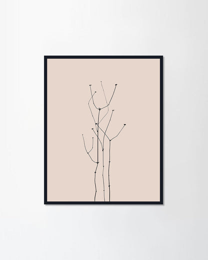 Dried flowers