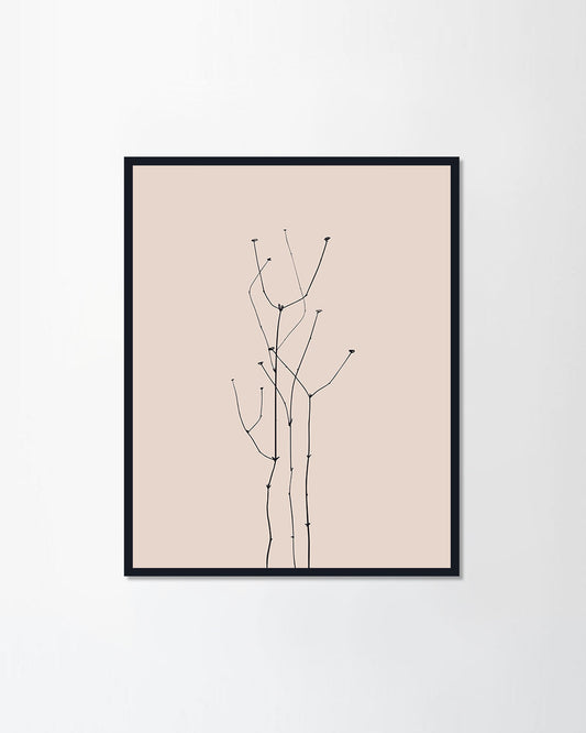 Dried flowers