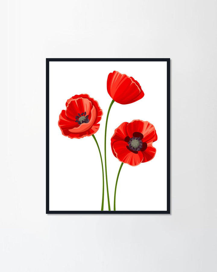 Red poppies