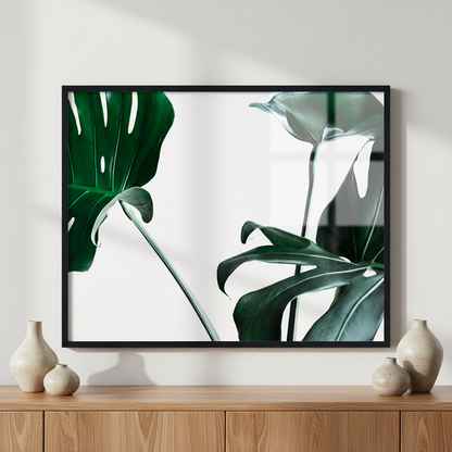 Monstera leaves ภาพติดผังสไตล์สแกนดิเนเวีย สำหรับตกแต่งบ้านและคอนโด พร้อมกรอบคุณภาพ