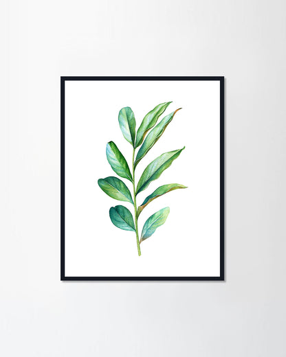 Green plant branch