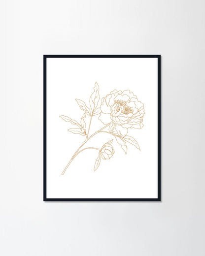Peony flower