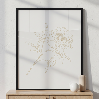Peony flower