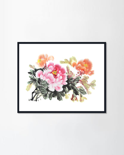Peony flower